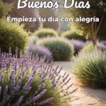 buenos días empieza tu día con alegría