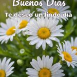 buenos días te deseo un lindo día