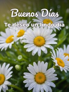 Buenos días para una mujer para una amiga