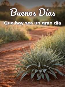 Buenos días preciosa imágenes para descargar