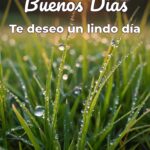 buenos días te deseo un lindo día