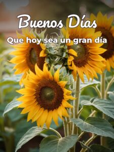 Buenos días romanticos frases