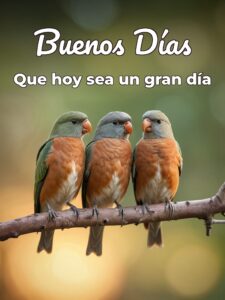Buenos dias romanticos frases para celular