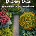 buenos días que tengas un día maravilloso