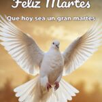 feliz martes que hoy sea un gran martes