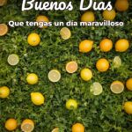 buenos días que tengas un día maravilloso
