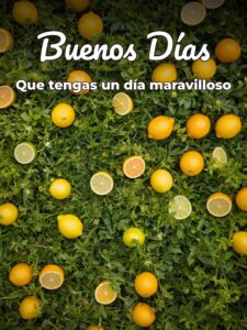 Buenos mensajes de buenos días