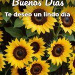buenos días te deseo un lindo día
