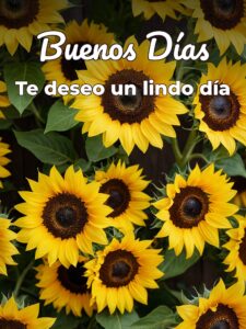 Buscar frases bonitas de buenos días para WhatsApp