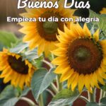 buenos días empieza tu día con alegría