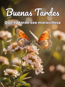 Buscar imágenes de buenas tardes para WhatsApp celular