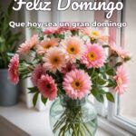 feliz domingo que hoy sea un gran domingo