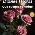 buenas noches que sueñes conmigo