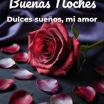 buenas noches dulces sueños, mi amor
