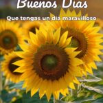 buenos días que tengas un día maravilloso