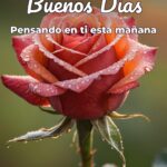 buenos días pensando en ti esta mañana