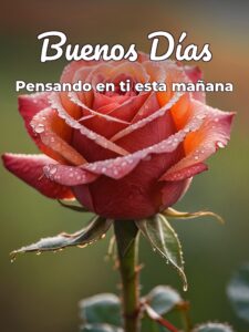 Como dar los buenos días al amor de tu vida para celular