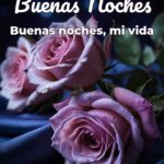 buenas noches buenas noches, mi vida