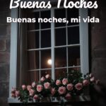buenas noches buenas noches, mi vida