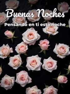 Como darle buenas noches a mi novia para WhatsApp