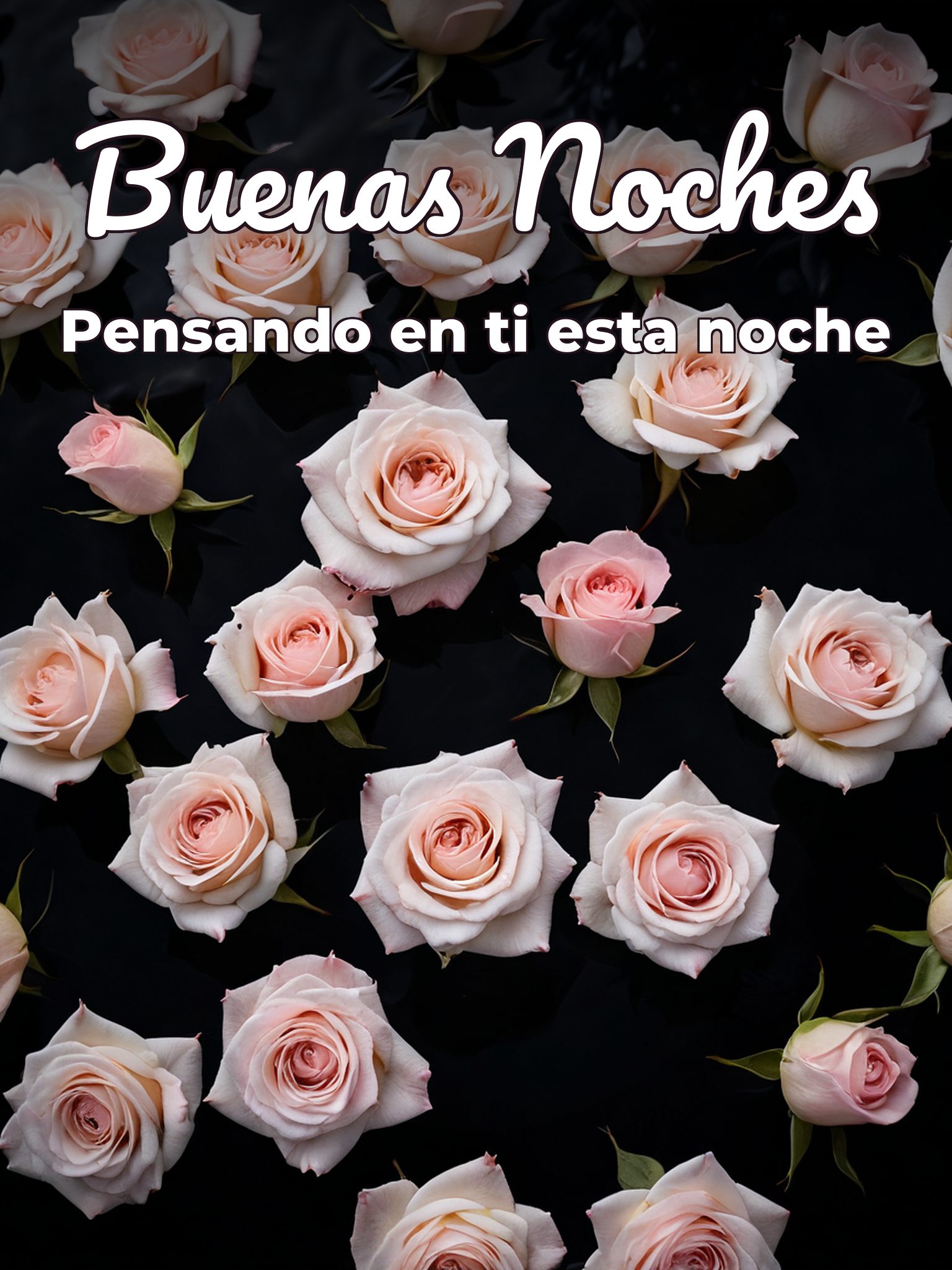 Como darle buenas noches a mi novia para WhatsApp