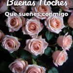 buenas noches que sueñes conmigo
