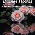 buenas noches dulces sueños, mi amor