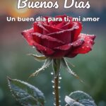buenos días un buen día para ti, mi amor
