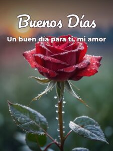 Como decir buenos días con amor