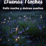 buenas noches feliz noche y dulces sueños