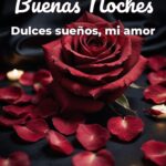 buenas noches dulces sueños, mi amor