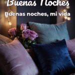 buenas noches buenas noches, mi vida