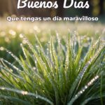 buenos días que tengas un día maravilloso