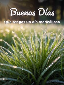 D buenos días para Facebook