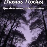 buenas noches que descanses, dulces sueños