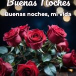 buenas noches buenas noches, mi vida