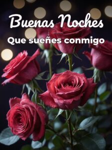 Dar las buenas noches a tu amor para WhatsApp