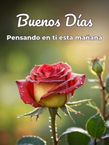 Dar los buenos días a mi amor