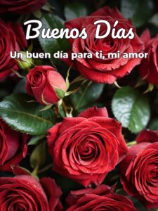 Dar los buenos días a mi novia para una amiga