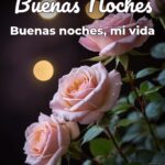 buenas noches buenas noches, mi vida