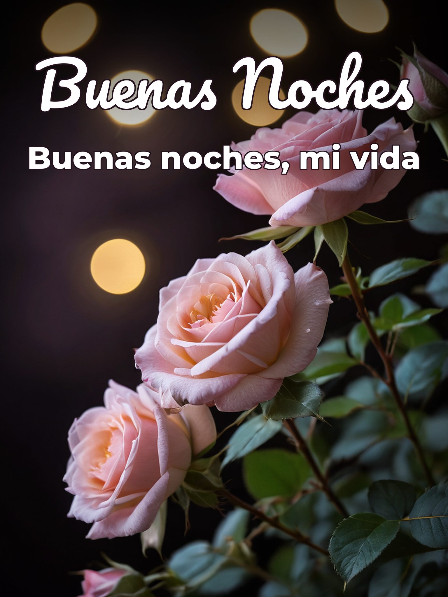 Darle las buenas noches a mi novia para WhatsApp