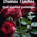 buenas noches que sueñes conmigo