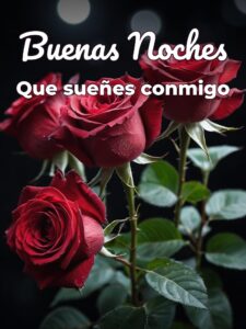 De amor de buenas noches para WhatsApp