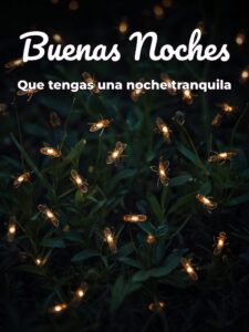 De buenas noches mensajes