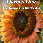 buenos días te deseo un lindo día