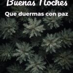 buenas noches que duermas con paz