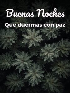 Deceos de buenas noches para celular