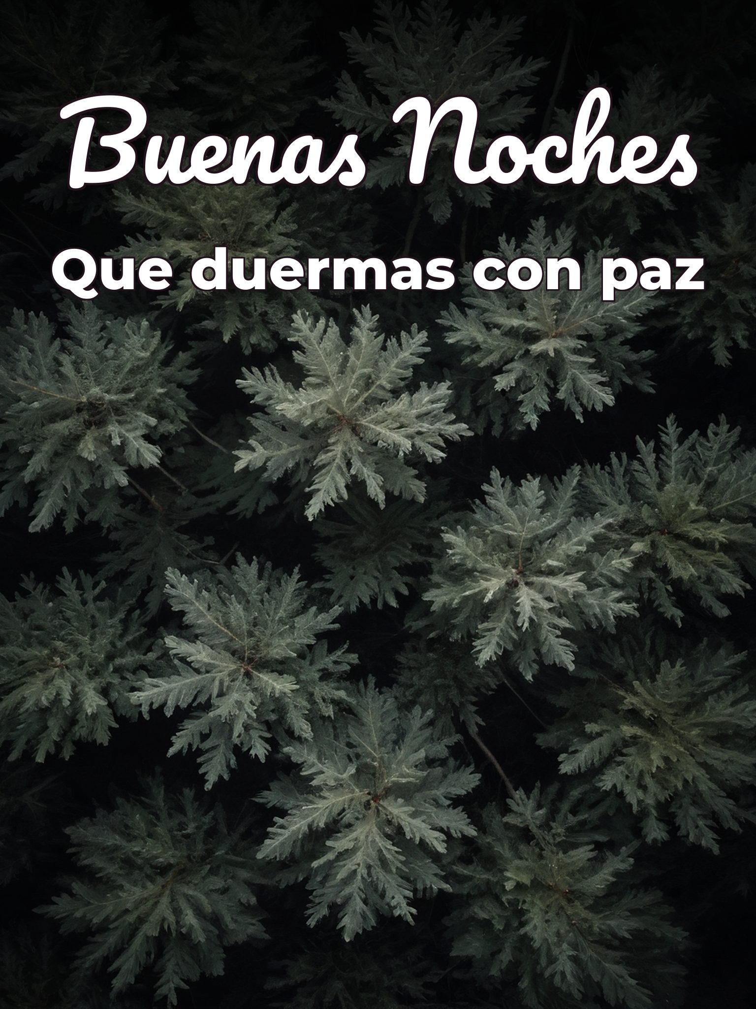 Deceos de buenas noches para celular