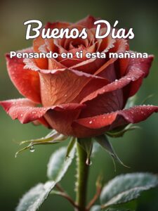 Decir buenos días con amor para una amiga