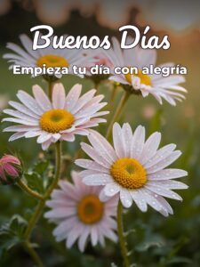Dedicación de buenos días para una amiga